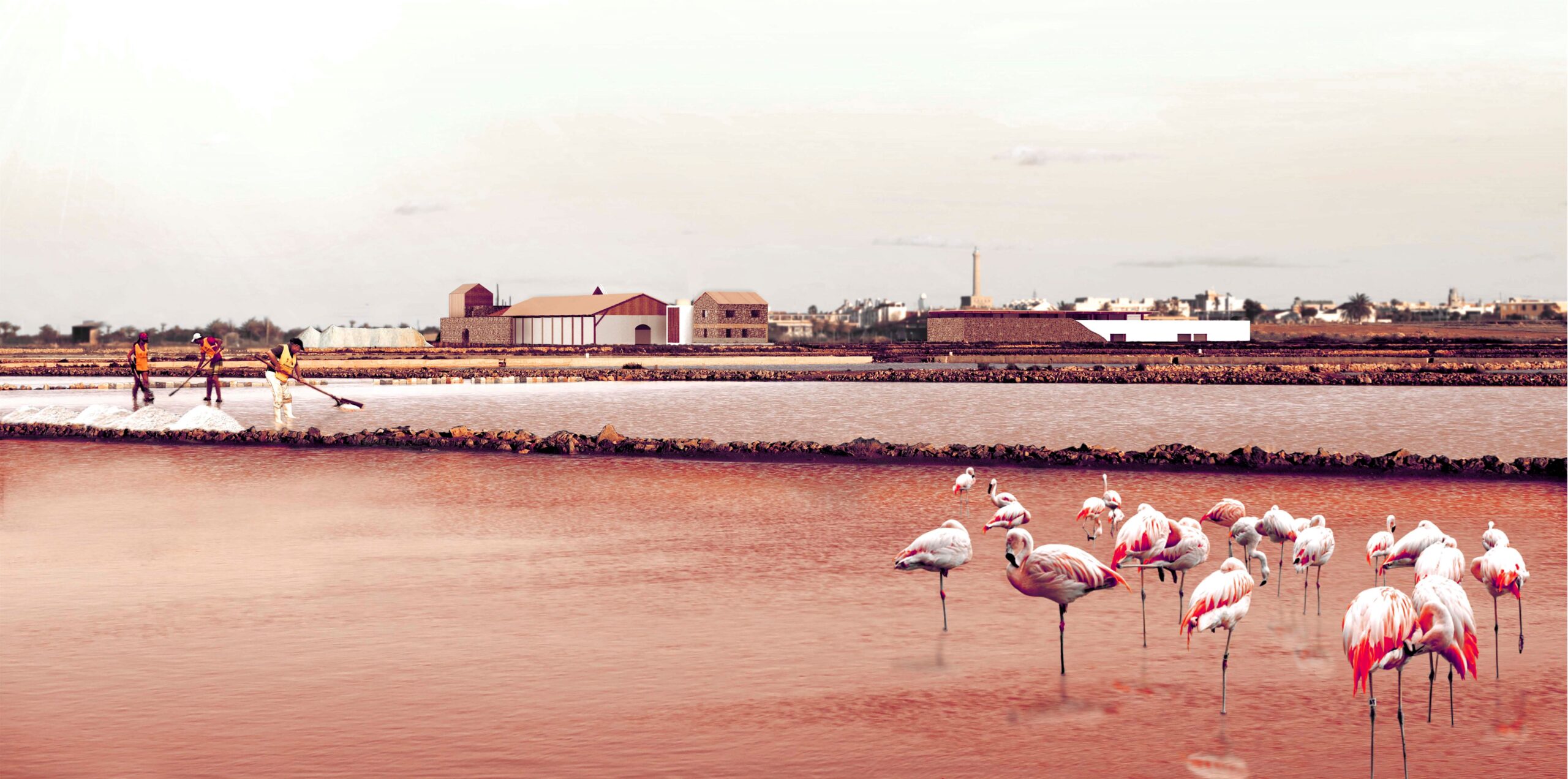 Entrevista a Paloma de Andrés: Proyecto de restauración de las Salinas de Marchamalo (I)