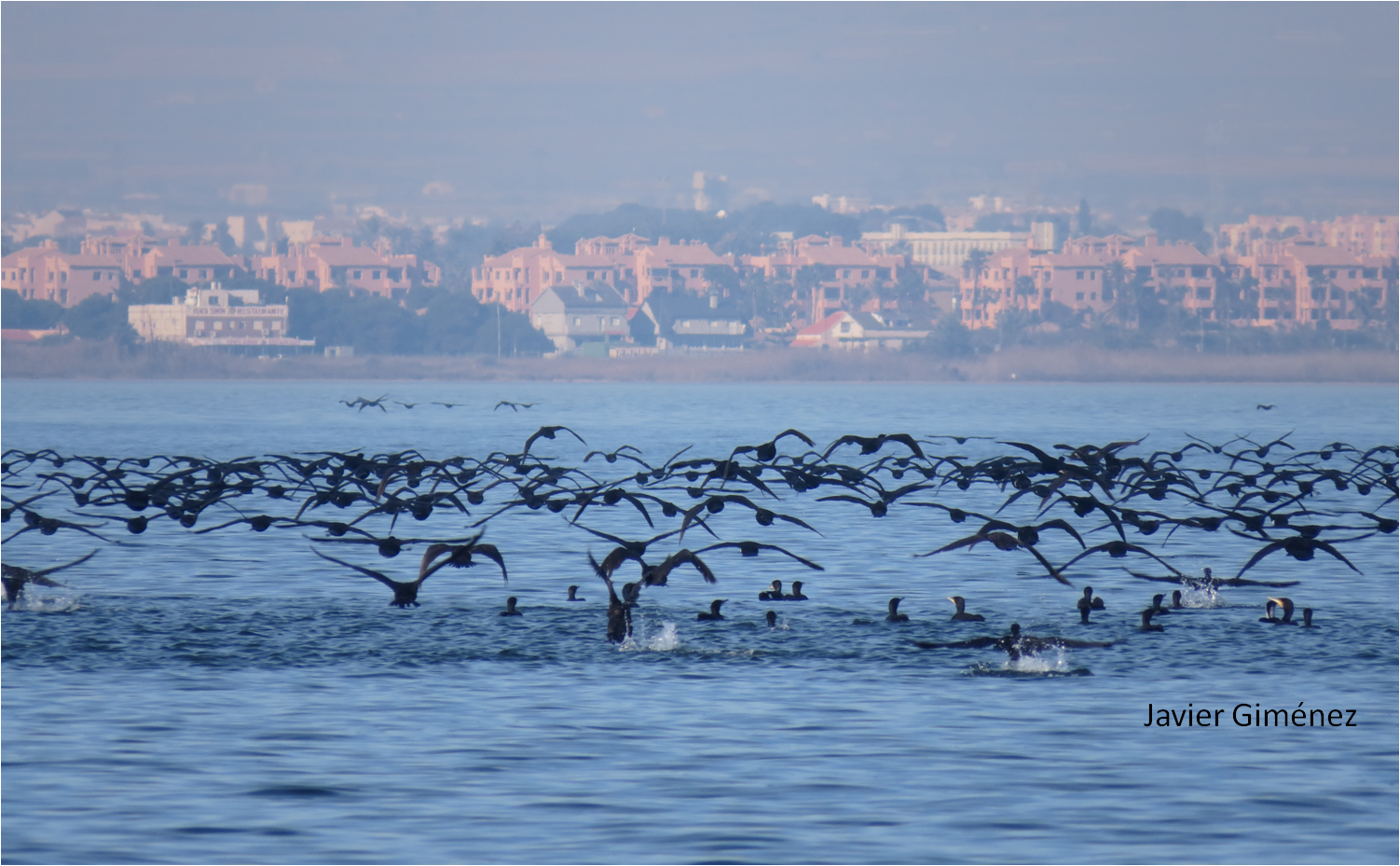 Hoja de Ruta para el desarrollo sostenible del Mar Menor y el Campo de Cartagena: generando sinergias costero rurales